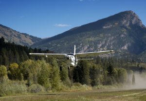 Quest Kodiak Altivation 